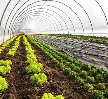 Organic Farming Awareness Program